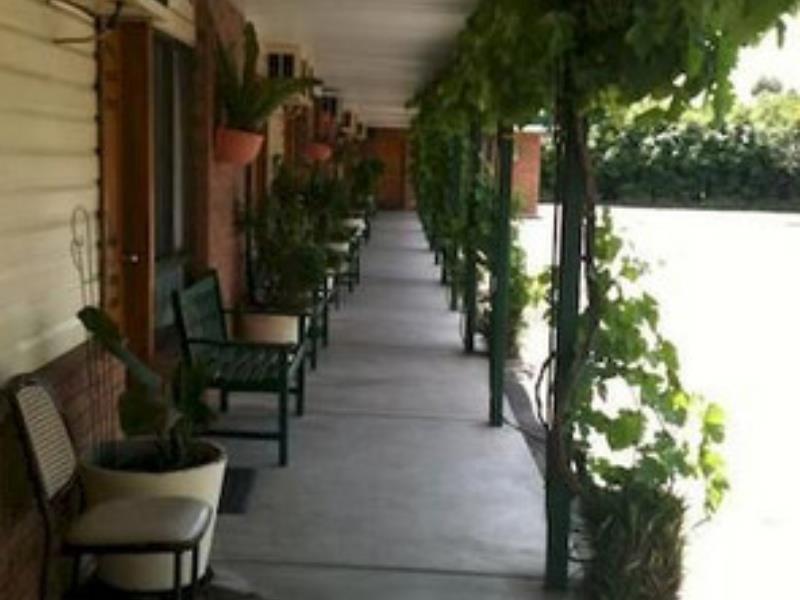 The Wayfarer Motel Muswellbrook Exterior foto